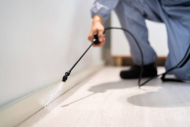 Bed Bug Pre-Treatment Preparation Assessment in Lowell